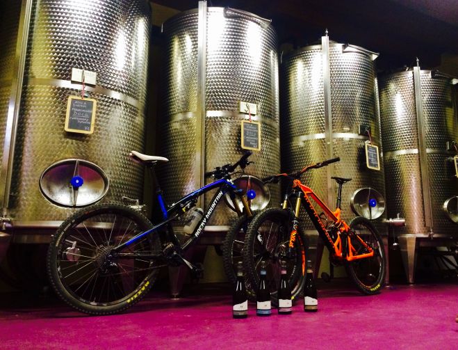 Mountain Bike & Wine